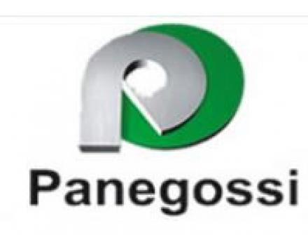 Panegossi